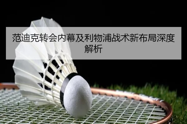 范迪克转会内幕及利物浦战术新布局深度解析